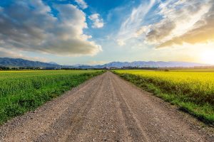 Straight,Country,Road,And,Green,Farmland,Natural,Scenery,At,Sunrise