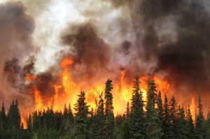 Alaska,Wildfires,Up,Close,And,Personal